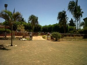 IMG00011-20120904-1155