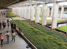"Situação é dramática", diz reitora da UnB após cortes no orçamento